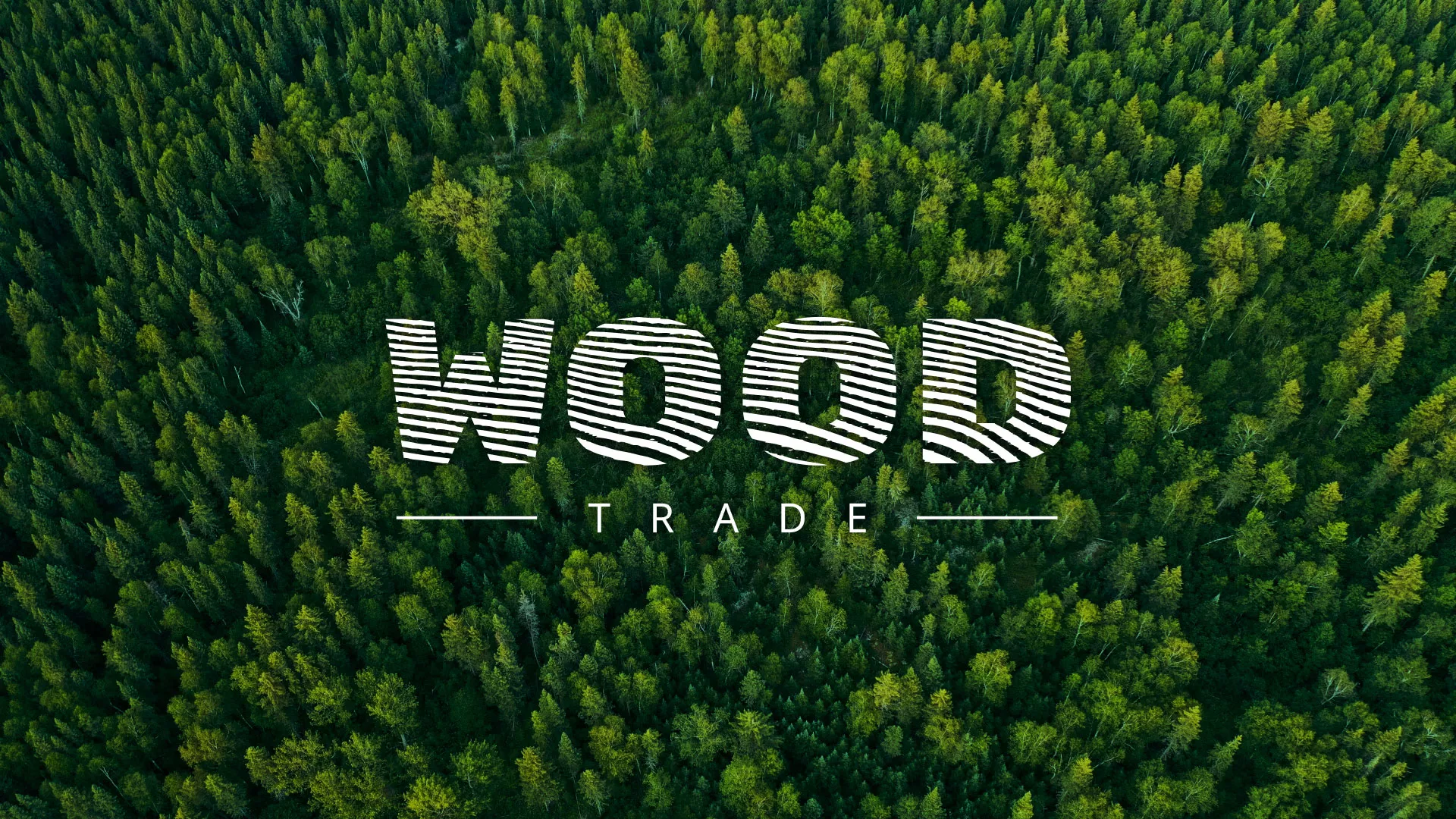 Разработка интернет-магазина компании «Wood Trade» в Краснозаводске