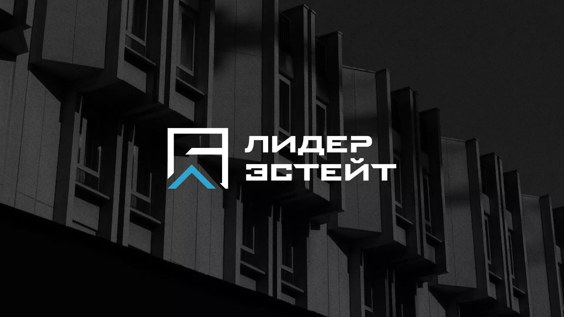 Разработка логотипа агентства недвижимости «Лидер Эстейт» в Краснозаводске