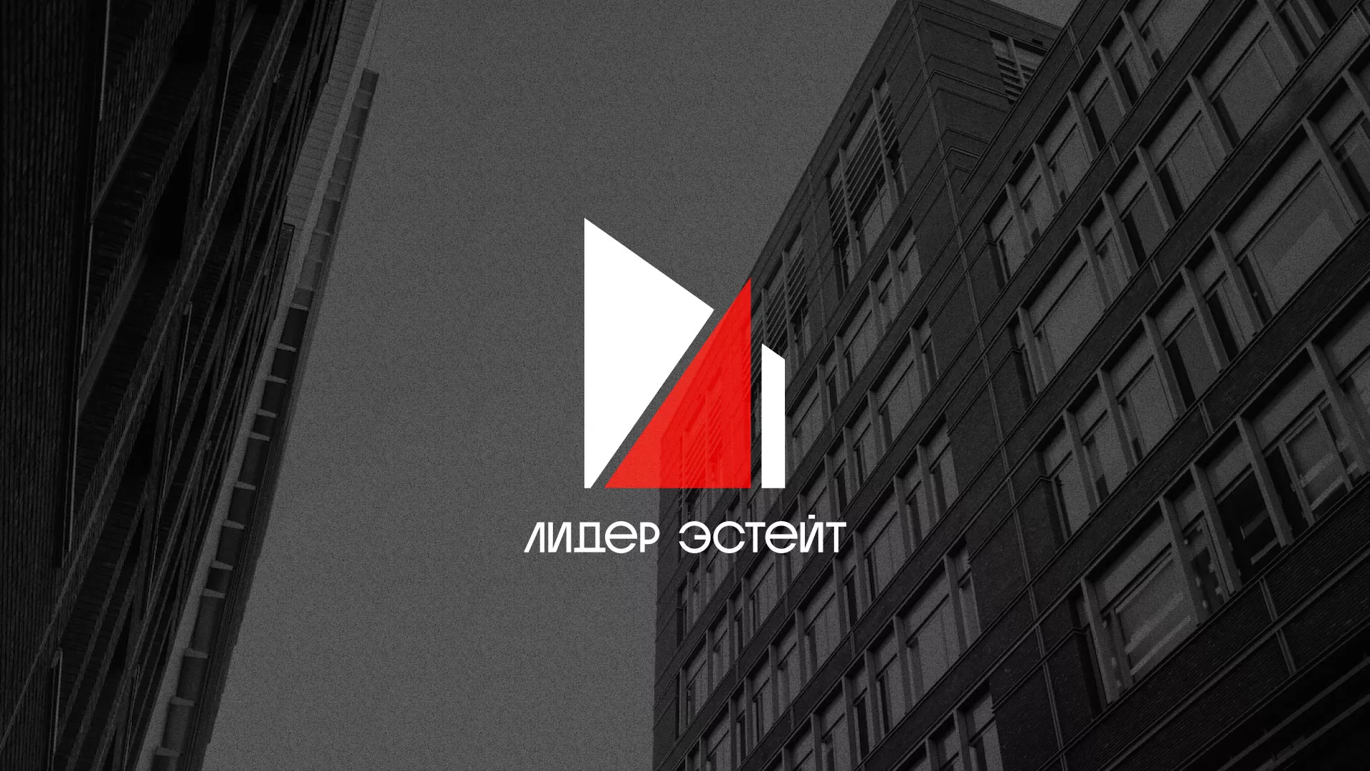 Сделали логотип для агентства недвижимости «Лидер Эстейт» в Краснозаводске